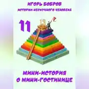 Постер книги Истории нескучного человека. Книга 11. Мини-история о мини-гостинице