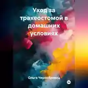 Постер книги Уход за трахеостомой в домашних условиях
