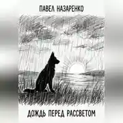 Постер книги Дождь перед рассветом