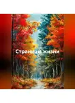 Васильев Михаил - Страницы жизни
