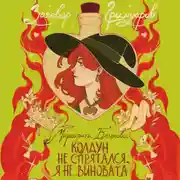 Постер книги Колдун не спрятался, я не виновата!
