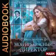 Постер книги Школа Лысой горы. Мой прекрасный директор