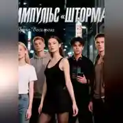Постер книги Импульс «Шторма».