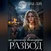 Постер книги Развод по лунному календарю