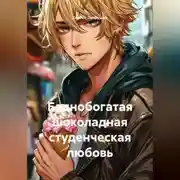 Постер книги Беднобогатая шоколадная студенческая любовь
