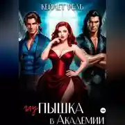 Постер книги Глупышка в Академии
