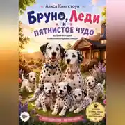 Постер книги Бруно, Леди и пятнистое чудо