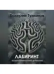Валерий Туманов - Лабиринт