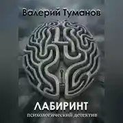 Постер книги Лабиринт