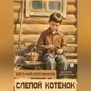 Постер книги Слепой котёнок