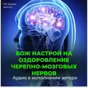 Постер книги Черепно-мозговые нервы