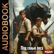 Постер книги Орден неправильных магов. Книга 5. Под сенью леса