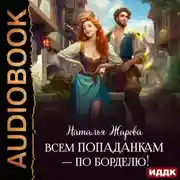 Постер книги Всем попаданкам – по борделю!