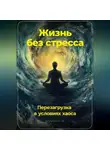 Артем Демиденко - Жизнь без стресса: Перезагрузка в условиях хаоса