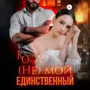 Постер книги (Не) мой единственный