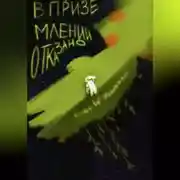 Постер книги В приземлении отказано