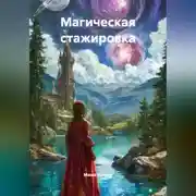 Постер книги Магическая стажировка