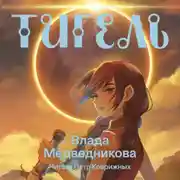Постер книги Тигель