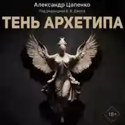 Постер книги Тень архетипа