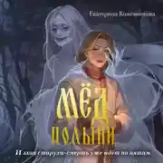 Постер книги Мёд полыни