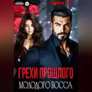Постер книги Грехи прошлого молодого босса