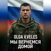Постер книги Мы вернемся домой