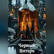 Постер книги Черный Янтарь