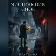 Постер книги Чистильщик снов