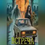 Постер книги Встреча