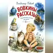 Постер книги Вовкины Рассказы
