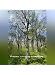 Елена Мачете - Восемь пятниц на неделе