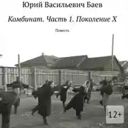 Постер книги Комбинат. Часть 1. Поколение X. Повесть