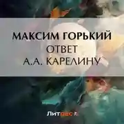 Постер книги Ответ А. А. Карелину
