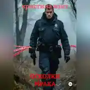 Постер книги ОСКОЛКИ МРАКА