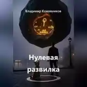 Постер книги Нулевая развилка