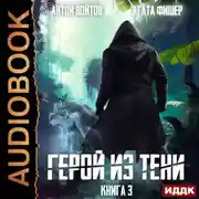 Постер книги Герой из тени. Книга 3