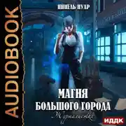 Постер книги Магия большого города. Книга 2. Журналистка