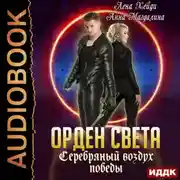 Постер книги Серебряный воздух победы