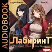 Постер книги Я покорю Лабиринт с помощью техник массажа. Книга 6