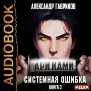 Постер книги Ари Ками. Книга 3. Системная ошибка