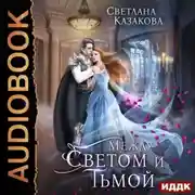 Постер книги Между Светом и Тьмой