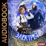 Постер книги Небо и грозы Электрет