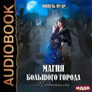 Постер книги Магия большого города. Книга 1. Провинциалка