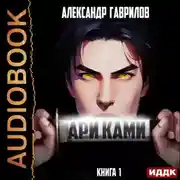 Постер книги Ари Ками. Книга 1
