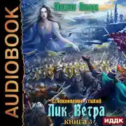 Постер книги Столкновение стихий. Книга 3. Лик Ветра