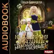 Постер книги Не всё дракону масленица, или Мамашка для близняшек. Серия 1
