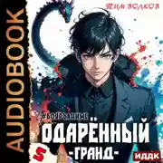 Постер книги Одарённый. Книга 5. Гранд