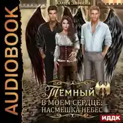 Постер книги Темный в моем сердце: Насмешка небес
