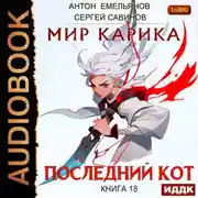 Постер книги Последний кот