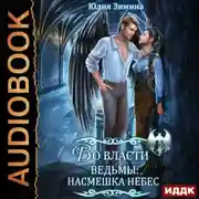 Постер книги Во власти ведьмы: Насмешка небес